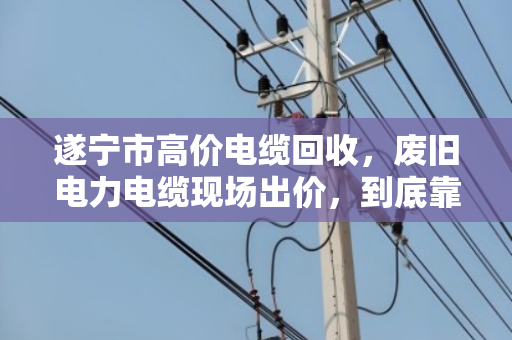 遂宁市高价电缆回收，废旧电力电缆现场出价，到底靠不靠谱？泊祎回收用真实案例给你答案