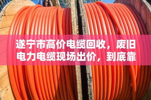 遂宁市高价电缆回收，废旧电力电缆现场出价，到底靠不靠谱？泊祎回收用真实案例给你答案