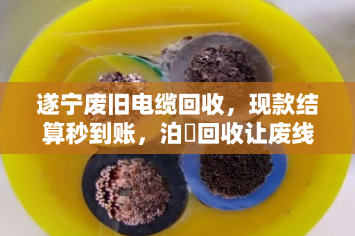遂宁废旧电缆回收，现款结算秒到账，泊祎回收让废线变现金
