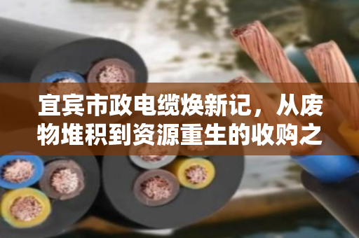 宜宾市政电缆焕新记，从废物堆积到资源重生的收购之道