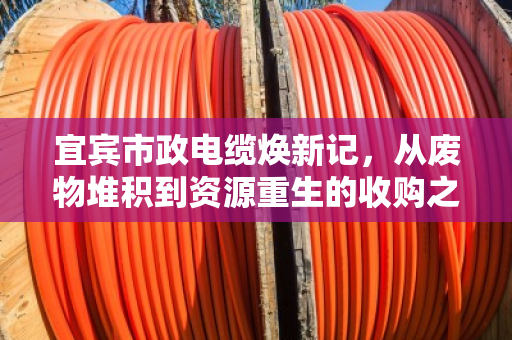 宜宾市政电缆焕新记，从废物堆积到资源重生的收购之道