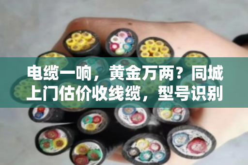 电缆一响,黄金万两?同城上门估价收线缆,型号识别快才能卖得值 电缆一响,黄金万两?同城上门估价收线缆,型号识别快才能卖得值