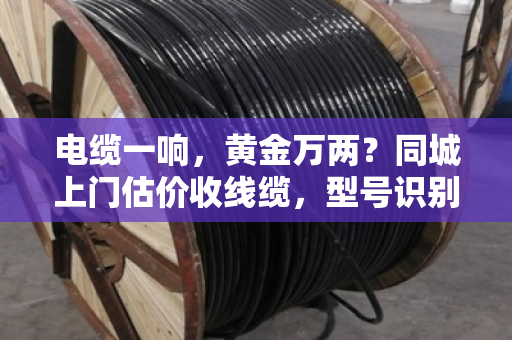电缆一响,黄金万两?同城上门估价收线缆,型号识别快才能卖得值 电缆一响,黄金万两?同城上门估价收线缆,型号识别快才能卖得值
