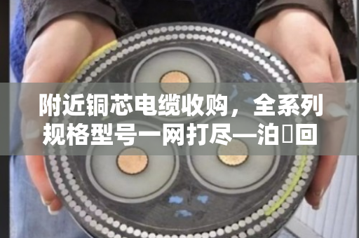 附近铜芯电缆收购,全系列规格型号一网打尽—泊祎回收让废旧电缆变现无忧 附近铜芯电缆收购,全系列规格型号一网打尽—泊祎回收让废旧电缆变现无忧