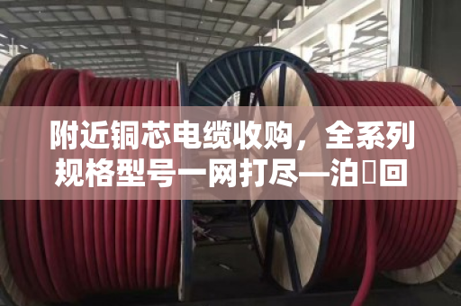 附近铜芯电缆收购,全系列规格型号一网打尽—泊祎回收让废旧电缆变现无忧 附近铜芯电缆收购,全系列规格型号一网打尽—泊祎回收让废旧电缆变现无忧