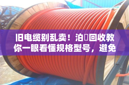 旧电缆别乱卖！泊祎回收教你一眼看懂规格型号，避免被坑