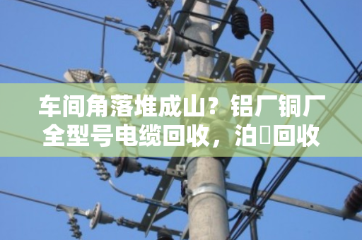 车间角落堆成山？铝厂铜厂全型号电缆回收，泊祎回收现款上门，当天清场不隔夜