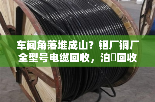 车间角落堆成山？铝厂铜厂全型号电缆回收，泊祎回收现款上门，当天清场不隔夜