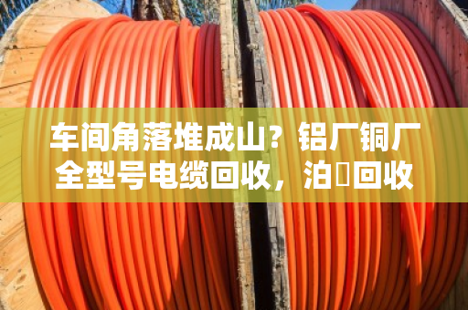 车间角落堆成山？铝厂铜厂全型号电缆回收，泊祎回收现款上门，当天清场不隔夜