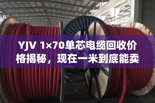 YJV 1×70单芯电缆回收价格揭秘,现在一米到底能卖多少钱? YJV 1×70单芯电缆回收价格揭秘,现在一米到底能卖多少钱?