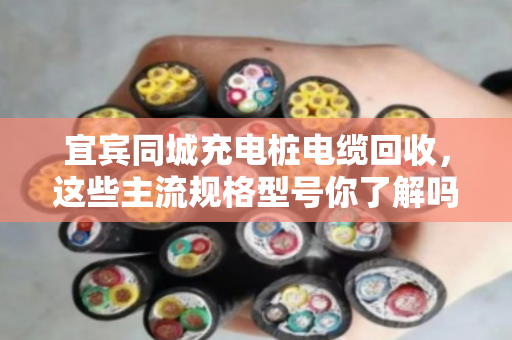 宜宾同城充电桩电缆回收，这些主流规格型号你了解吗？泊祎回收帮你变废为宝