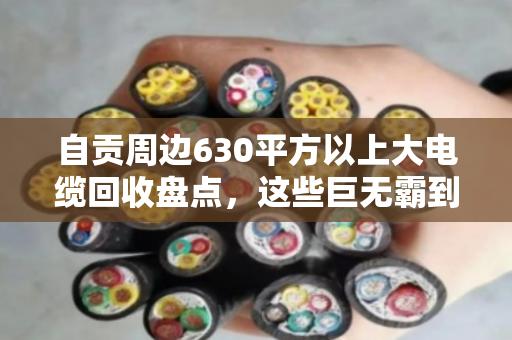 自贡周边630平方以上大电缆回收盘点，这些巨无霸到底值多少？