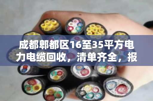 成都郫都区16至35平方电力电缆回收，清单齐全，报价实在，泊祎回收当天上门