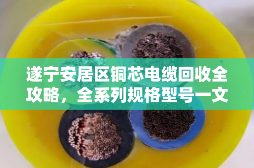 遂宁安居区铜芯电缆回收全攻略,全系列规格型号一文看懂,靠谱回收就找泊祎回收 遂宁安居区铜芯电缆回收全攻略,全系列规格型号一文看懂,靠谱回收就找泊祎回收