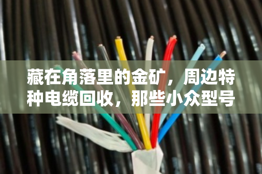 藏在角落里的金矿，周边特种电缆回收，那些小众型号大盘点