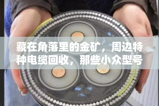 藏在角落里的金矿，周边特种电缆回收，那些小众型号大盘点