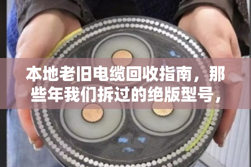 本地老旧电缆回收指南，那些年我们拆过的绝版型号，现在还值钱吗？