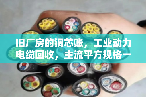 旧厂房的铜芯账，工业动力电缆回收，主流平方规格一文说透