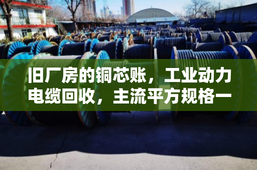 旧厂房的铜芯账，工业动力电缆回收，主流平方规格一文说透