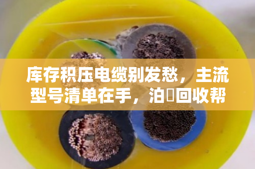 库存积压电缆别发愁,主流型号清单在手,泊祎回收帮你快速变现 库存积压电缆别发愁,主流型号清单在手,泊祎回收帮你快速变现