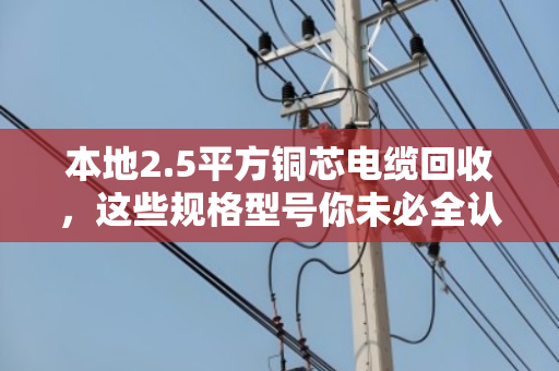 本地2.5平方铜芯电缆回收，这些规格型号你未必全认识，泊祎回收帮你一次理清