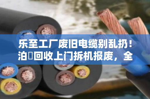 乐至工厂废旧电缆别乱扔!泊祎回收上门拆机报废,全型号高价变现 乐至工厂废旧电缆别乱扔!泊祎回收上门拆机报废,全型号高价变现