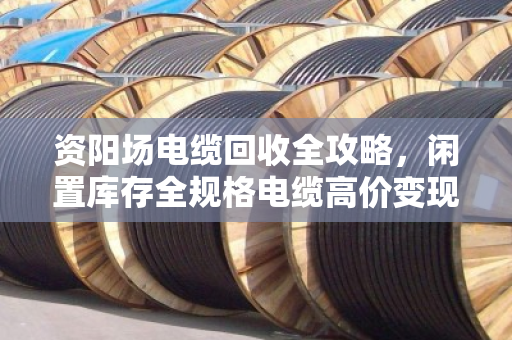 资阳场电缆回收全攻略，闲置库存全规格电缆高价变现，就找泊祎回收
