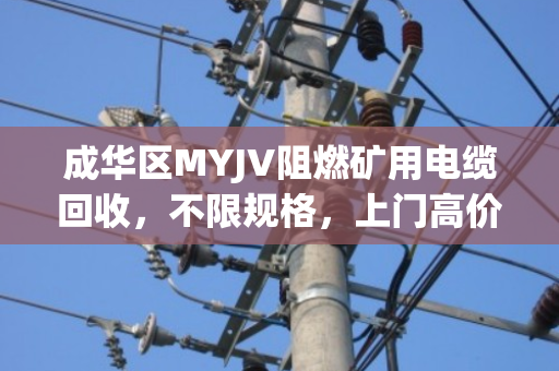成华区MYJV阻燃矿用电缆回收，不限规格，上门高价变现