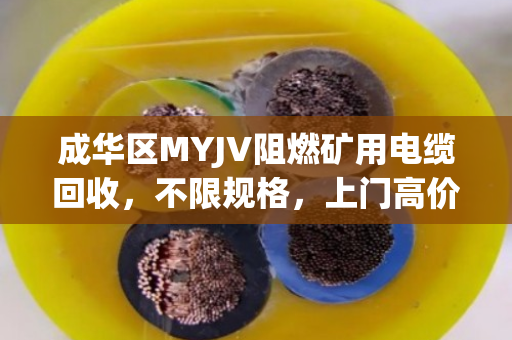 成华区MYJV阻燃矿用电缆回收，不限规格，上门高价变现