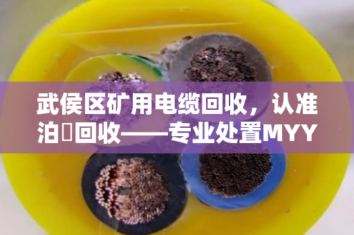 武侯区矿用电缆回收，认准泊祎回收——专业处置MYY移动电缆与矿山拆机线缆