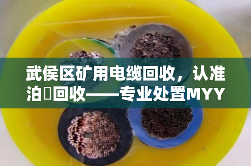 武侯区矿用电缆回收，认准泊祎回收——专业处置MYY移动电缆与矿山拆机线缆