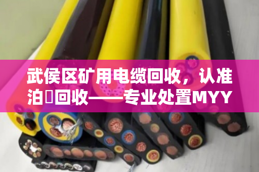 武侯区矿用电缆回收，认准泊祎回收——专业处置MYY移动电缆与矿山拆机线缆