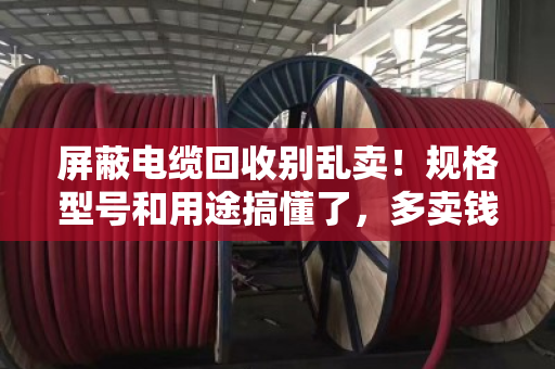 屏蔽电缆回收别乱卖!规格型号和用途搞懂了,多卖钱还不踩坑 屏蔽电缆回收别乱卖!规格型号和用途搞懂了,多卖钱还不踩坑
