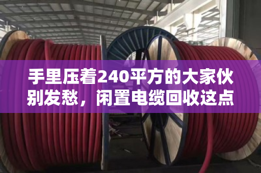 手里压着240平方的大家伙别发愁,闲置电缆回收这点门道,泊祎回收给您说透 手里压着240平方的大家伙别发愁,闲置电缆回收这点门道,泊祎回收给您说透