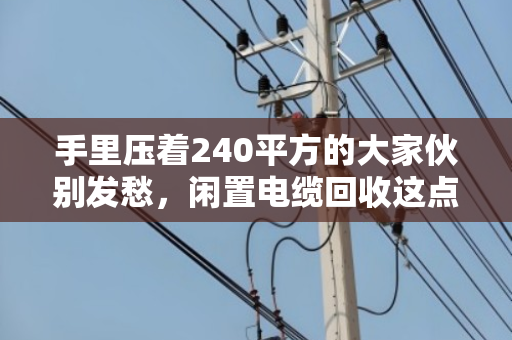 手里压着240平方的大家伙别发愁，闲置电缆回收这点门道，泊祎回收给您说透