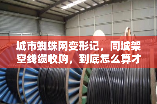 城市蜘蛛网变形记，同城架空线缆收购，到底怎么算才不亏？