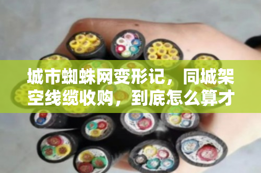城市蜘蛛网变形记，同城架空线缆收购，到底怎么算才不亏？