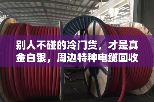 别人不碰的冷门货，才是真金白银，周边特种电缆回收，小众型号大盘点