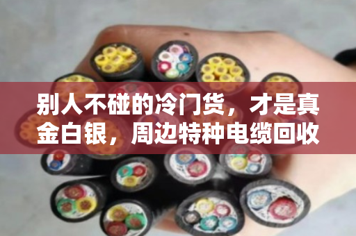 别人不碰的冷门货，才是真金白银，周边特种电缆回收，小众型号大盘点