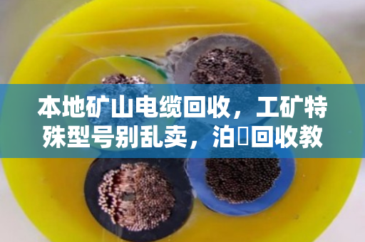 本地矿山电缆回收，工矿特殊型号别乱卖，泊祎回收教你避坑变现