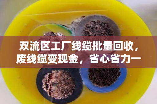 双流区工厂线缆批量回收,废线缆变现金,省心省力一步到位 双流区工厂线缆批量回收,废线缆变现金,省心省力一步到位