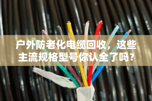 户外防老化电缆回收，这些主流规格型号你认全了吗？老电工手把手教你避坑卖高价