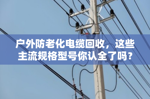 户外防老化电缆回收，这些主流规格型号你认全了吗？老电工手把手教你避坑卖高价