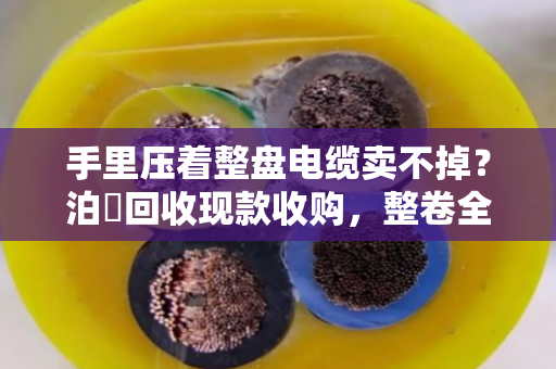 手里压着整盘电缆卖不掉?泊祎回收现款收购,整卷全规格型号一次清仓 手里压着整盘电缆卖不掉?泊祎回收现款收购,整卷全规格型号一次清仓