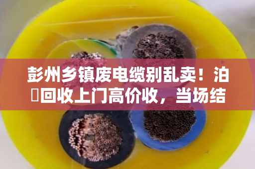 彭州乡镇废电缆别乱卖!泊祎回收上门高价收,当场结账 彭州乡镇废电缆别乱卖!泊祎回收上门高价收,当场结账