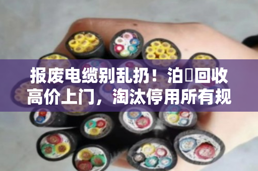 报废电缆别乱扔！泊祎回收高价上门，淘汰停用所有规格电缆照样变现金