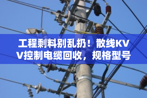 工程剩料别乱扔！散线KVV控制电缆回收，规格型号全解析，泊祎回收帮你把废线变现