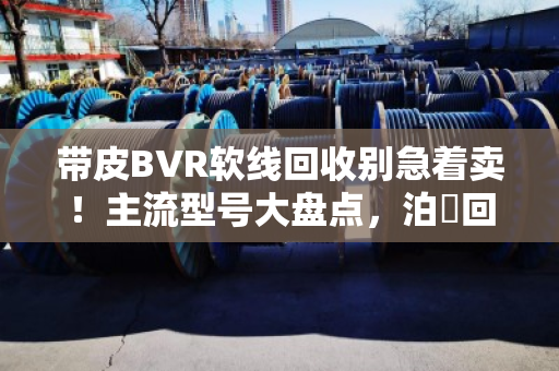 带皮BVR软线回收别急着卖！主流型号大盘点，泊祎回收教你看门道