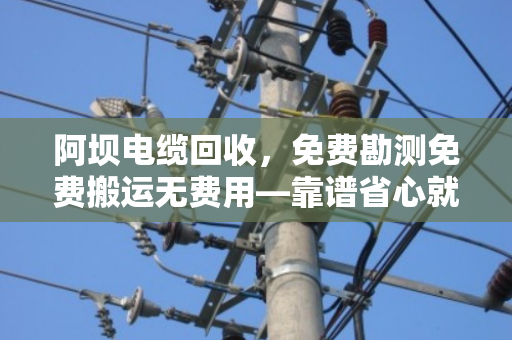 阿坝电缆回收，免费勘测免费搬运无费用—靠谱省心就找泊祎回收，别让废缆再躺仓库