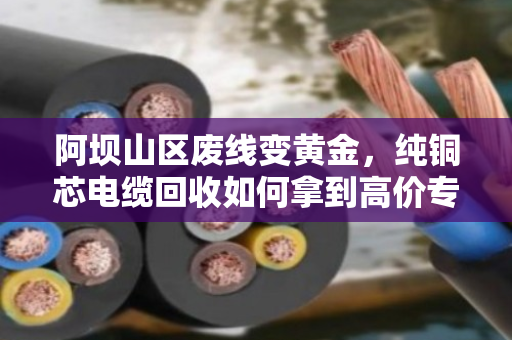 阿坝山区废线变黄金,纯铜芯电缆回收如何拿到高价专属报价?泊祎回收给您算明白账 阿坝山区废线变黄金,纯铜芯电缆回收如何拿到高价专属报价?泊祎回收给您算明白账